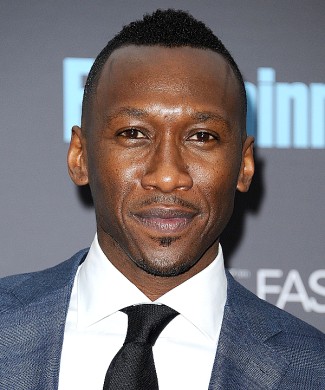 Mahershala Ali photo